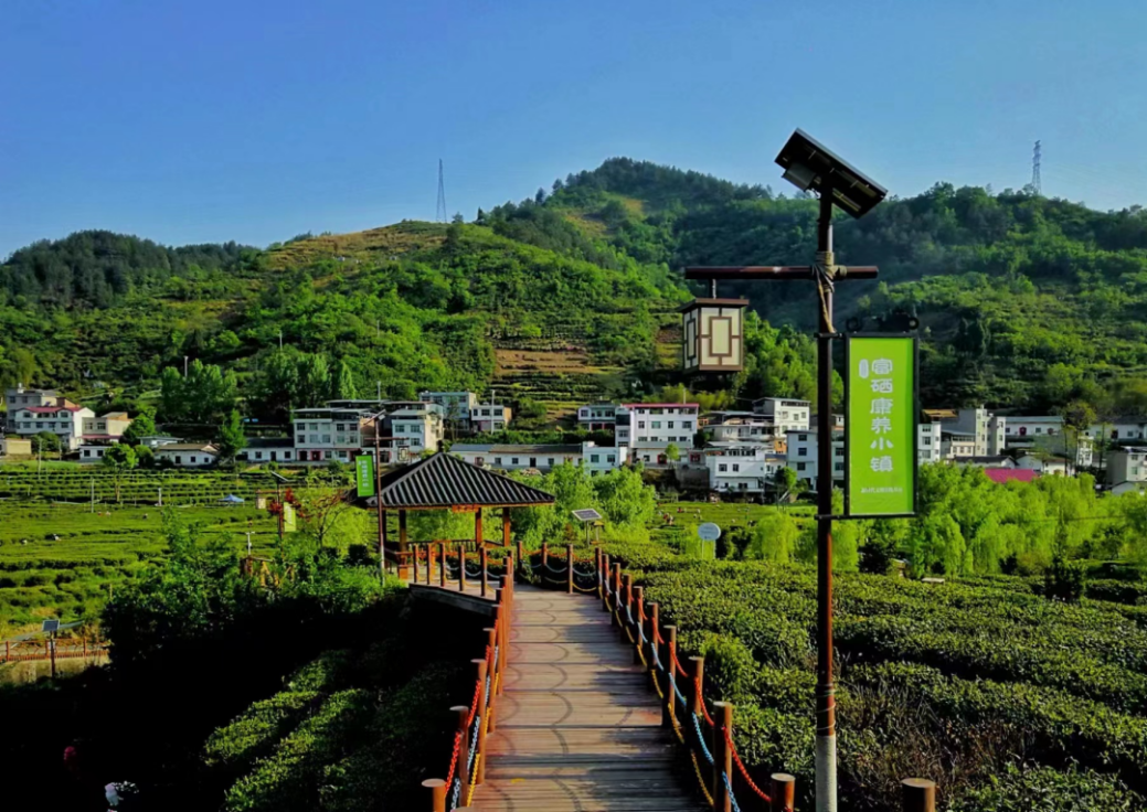 紫阳县蒿坪镇: 狠抓项目建设 助力乡村振兴 – 陕西时代网