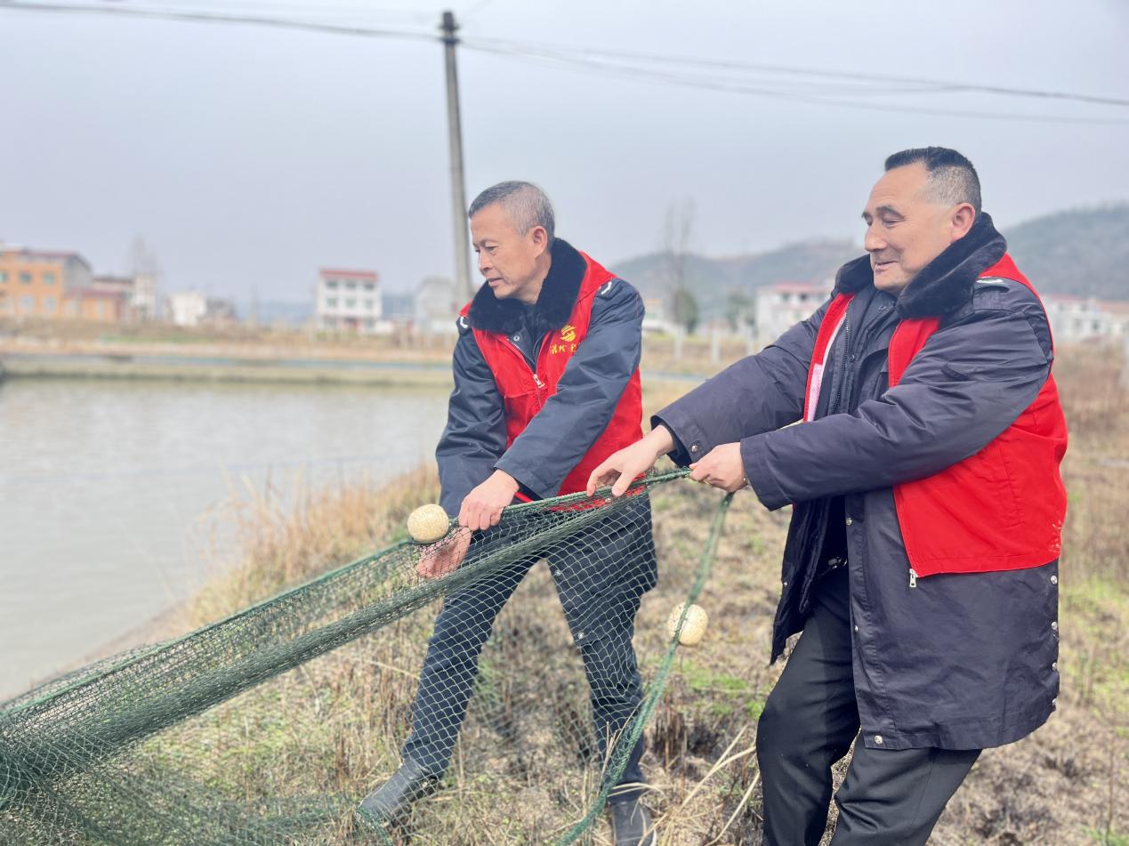 帮助农户鱼塘收网