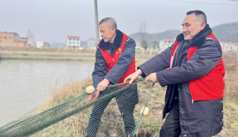 幫助農戶魚塘收網(wǎng)