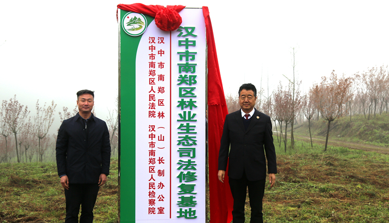 1I1A1554（揭牌）