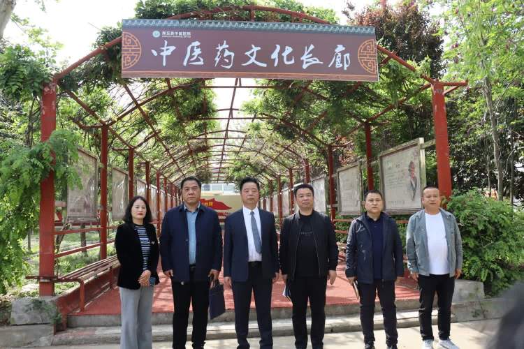 简篇-【传承岐黄薪火，弘扬中医文化】周至县中医医院携手马召初级中学打造校园中医药文化长廊