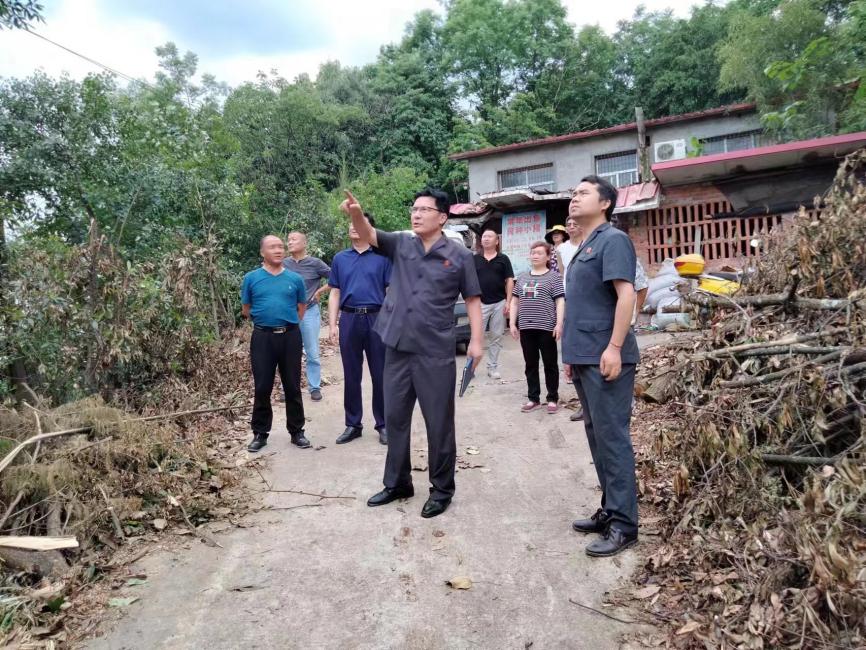 未发状态——处理纠纷2