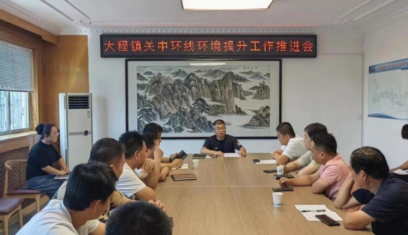大程鎮(zhèn)關(guān)中環(huán)線環(huán)境提升工作推進會