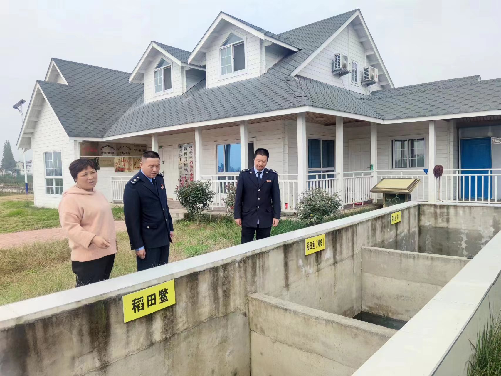 稻渔 (1)