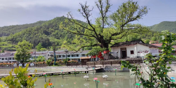图片2三柳村