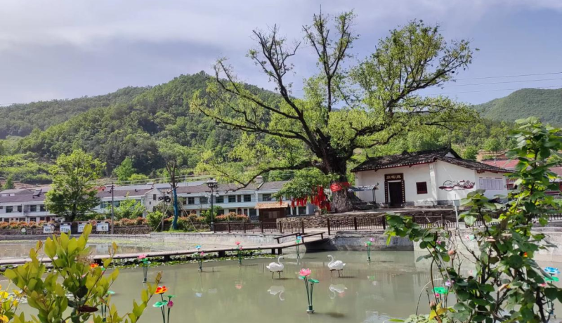 圖片2三柳村