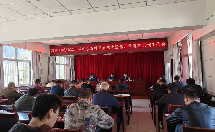 簡(jiǎn)篇-麻洞川鎮(zhèn)2023年秋冬季森林草原防火暨第四季度林長(zhǎng)制工作會(huì)