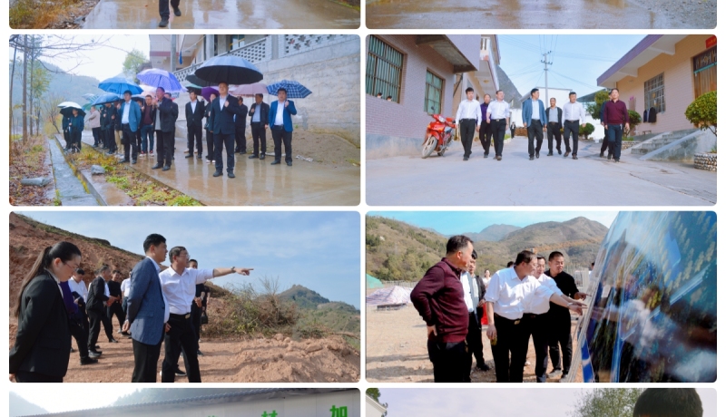 現(xiàn)場觀摩