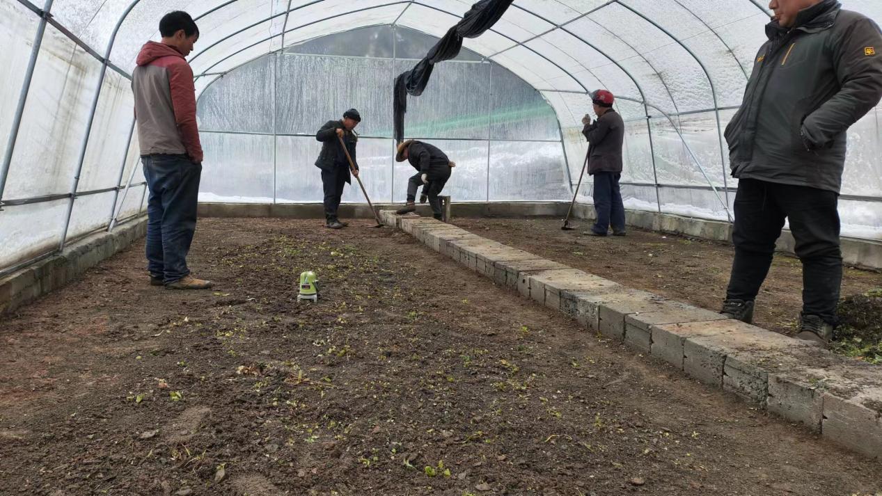 3搭建烤烟育苗大棚 (2)
