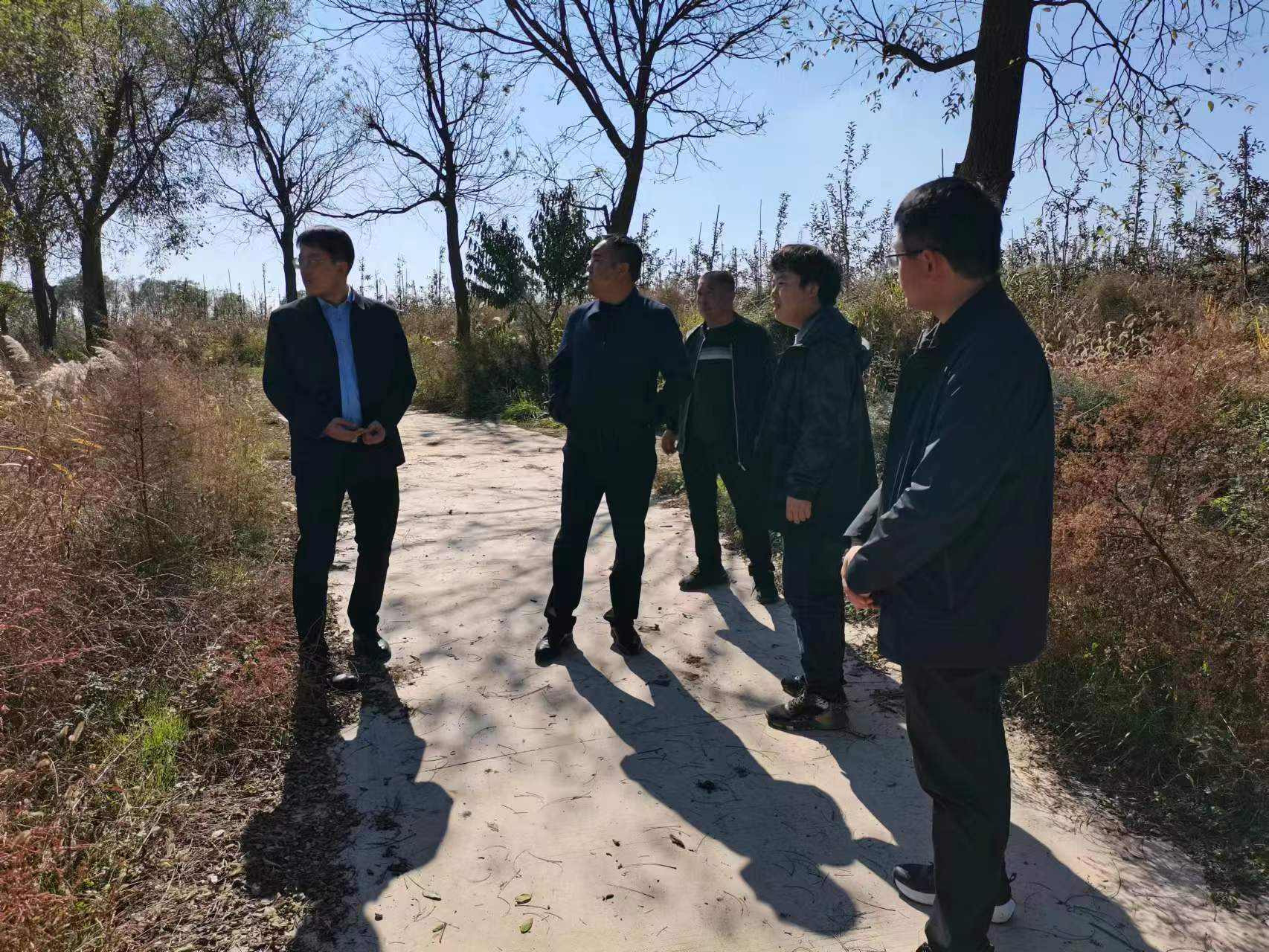 耕地核实书记图