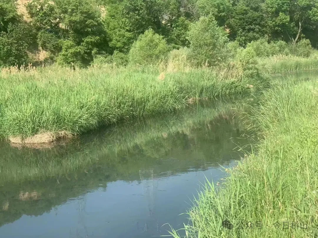 1716950478461083561.jpg