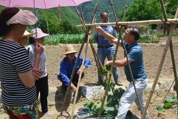 微信圖片_20240613150531