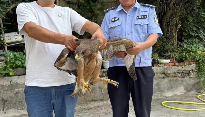 微信图片_20240802162447