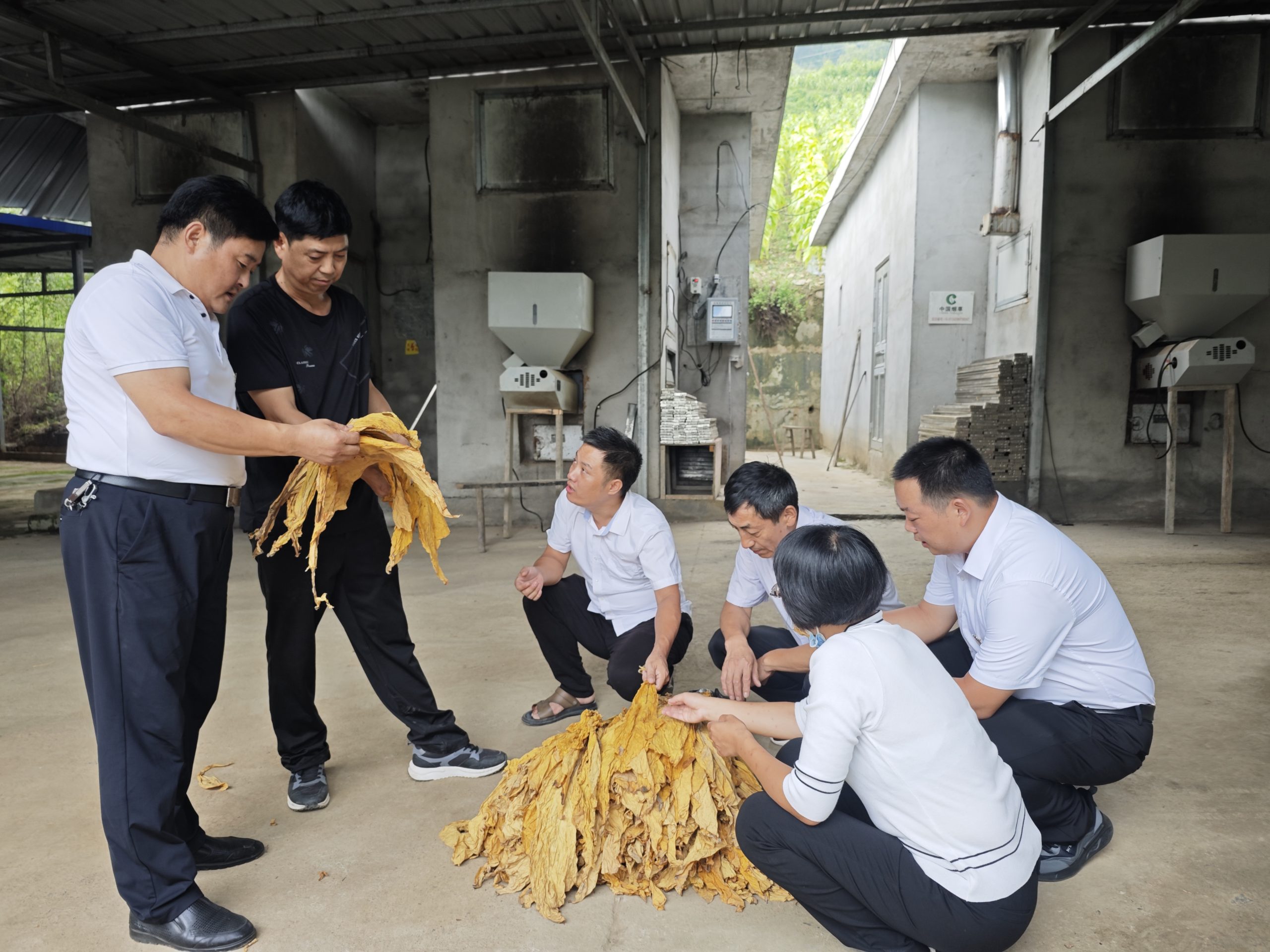 第一书记们交流烟草专业技术