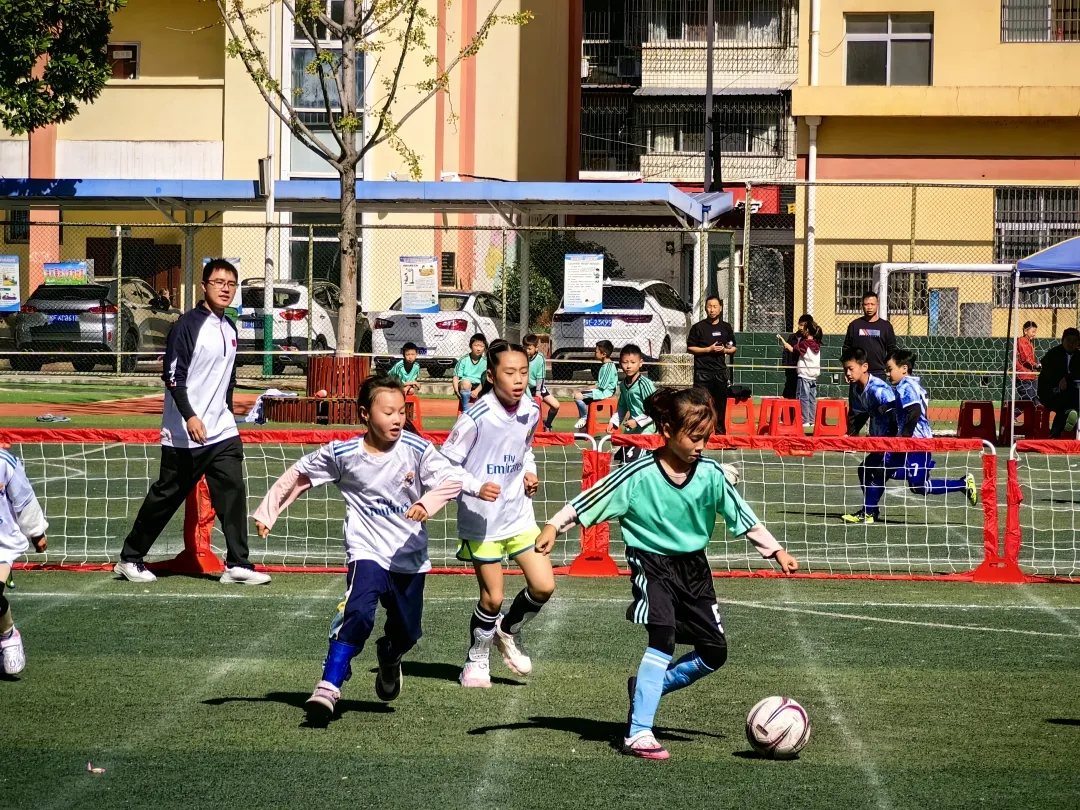 IMG_256