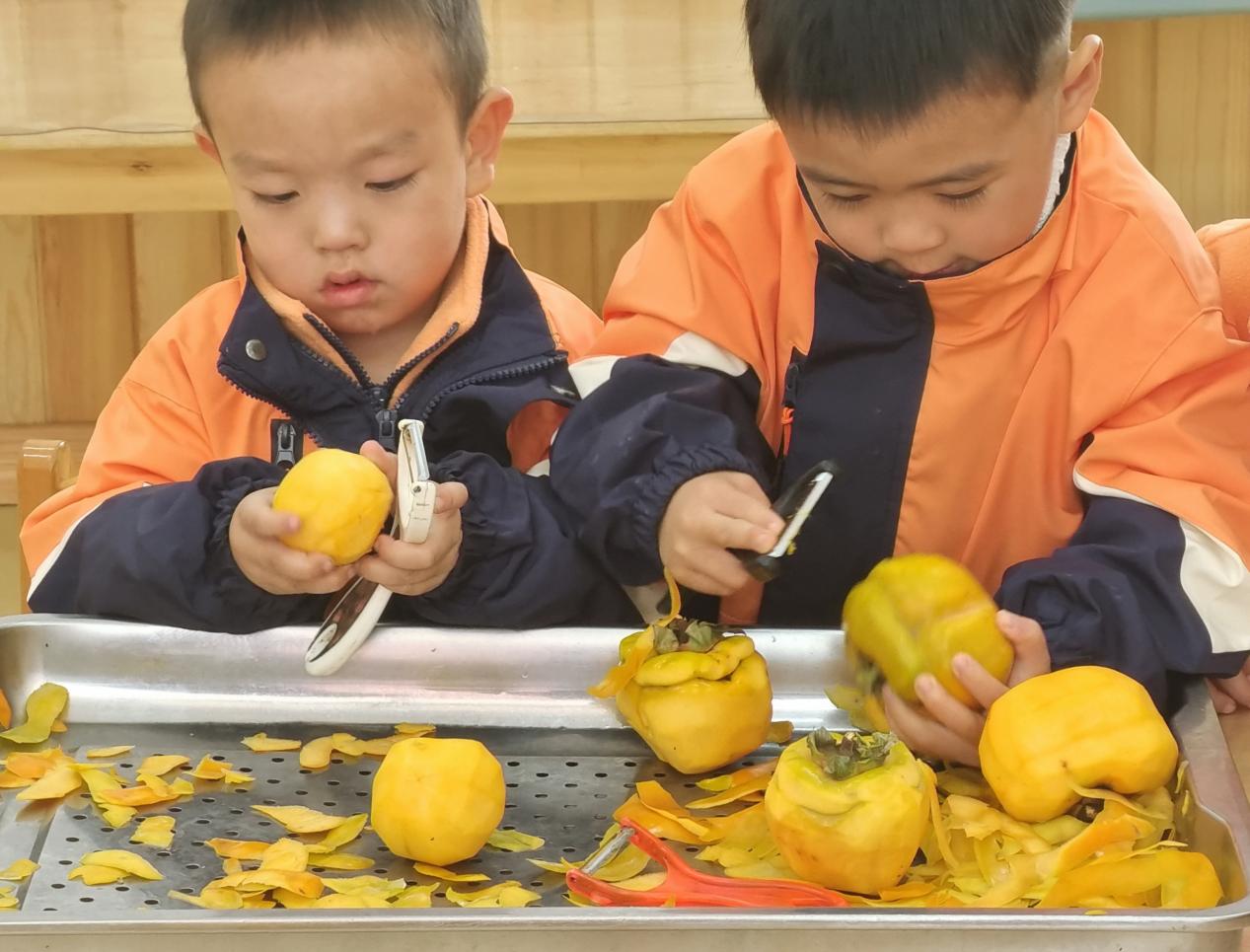 微信图片_20241028131307
