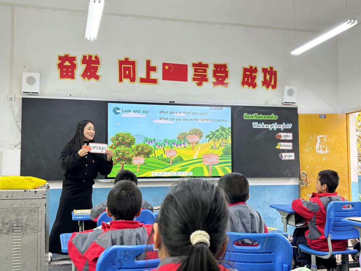 微信图片_20241113194138