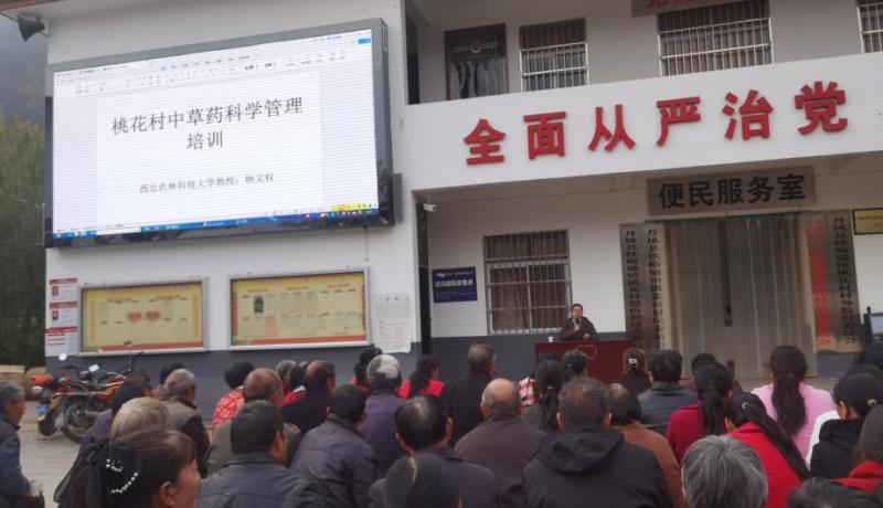 QQ圖片20241112161416