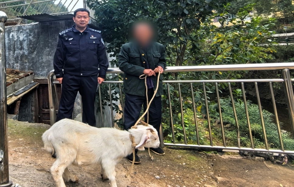 簡池助群眾找羊