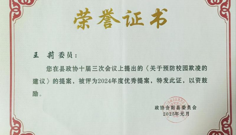 2024年度優(yōu)秀提案王莉
