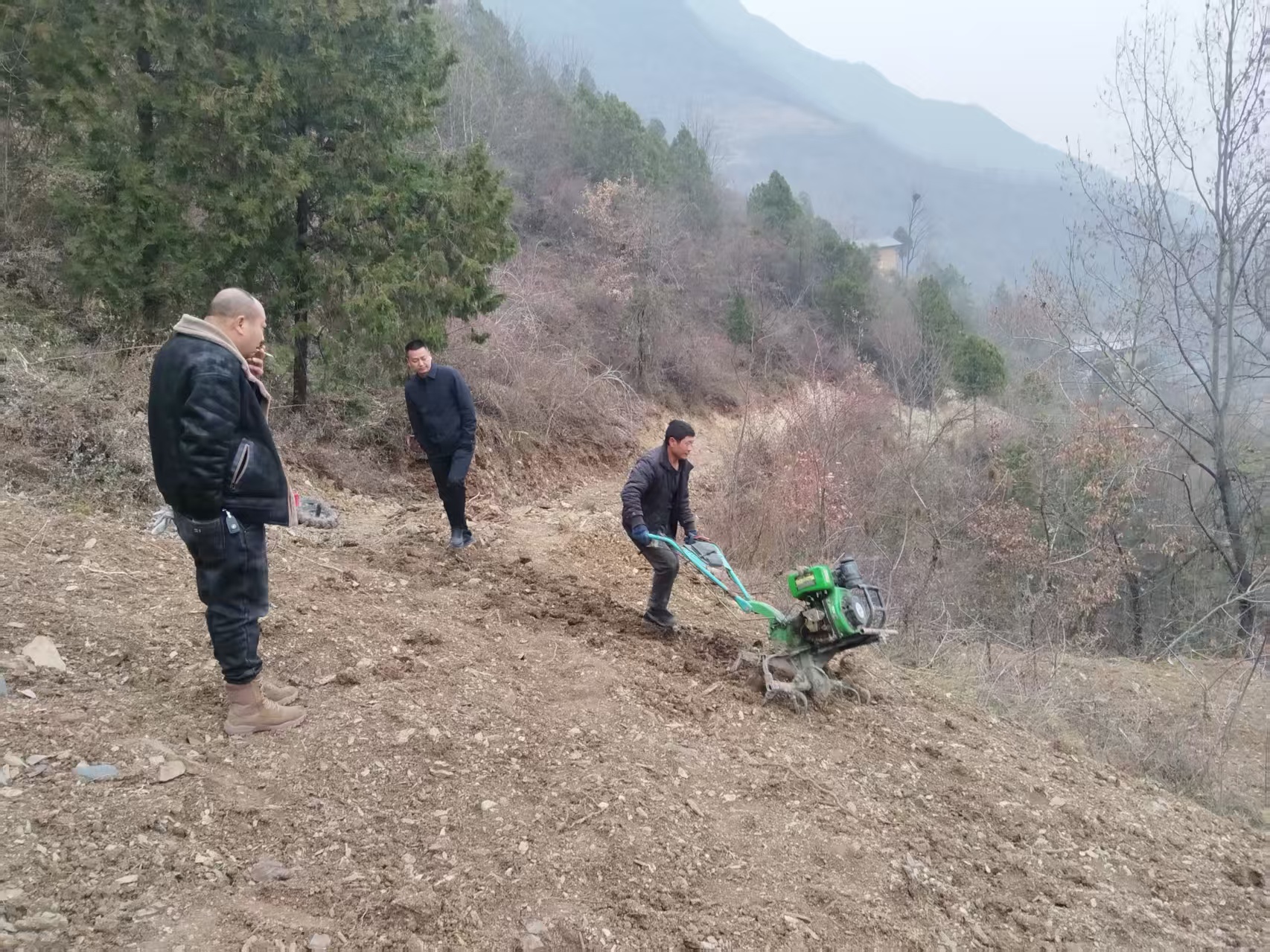烟地深耕