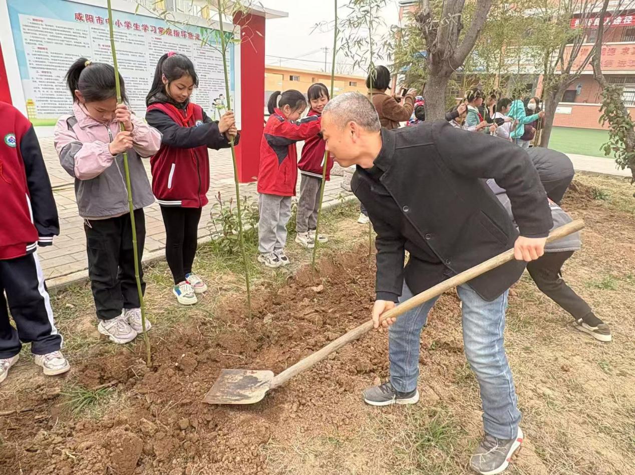 三原县西阳镇武官中心小学开展“植树护绿，美化校园”活动 植树护绿 美化校园 (1)