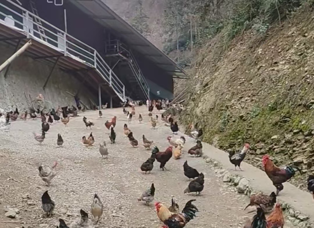 微信圖片_20250309095917.jpg