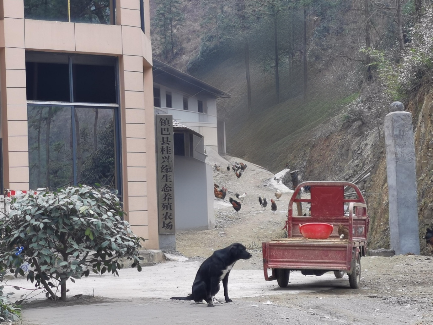 微信图片_20250310084220.png