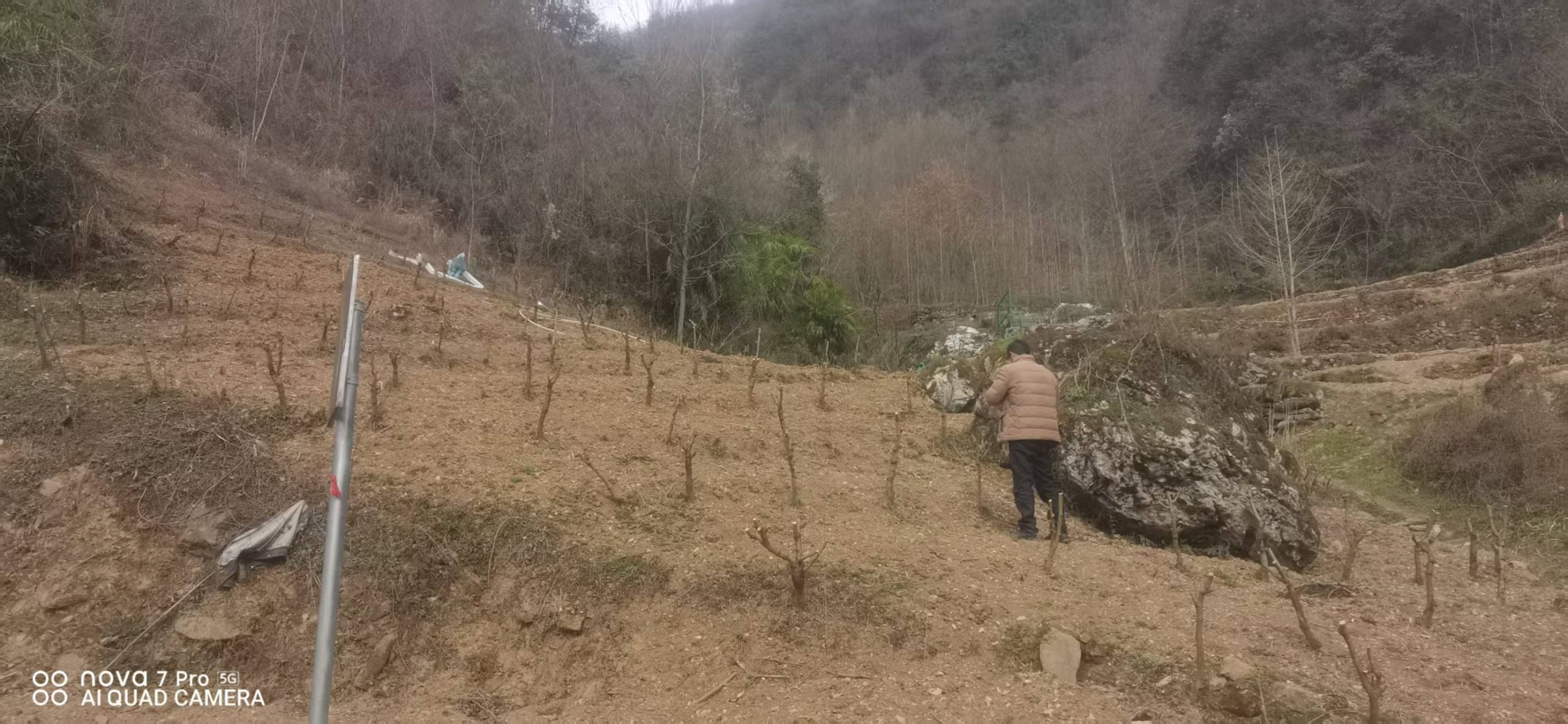 ef3ffacf87868430aab188f07855e17