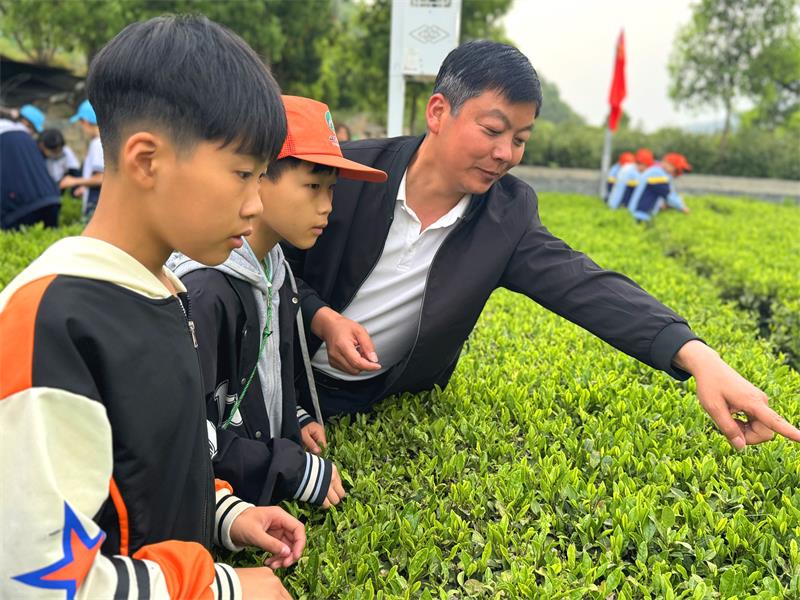 微信图片_20250423162743