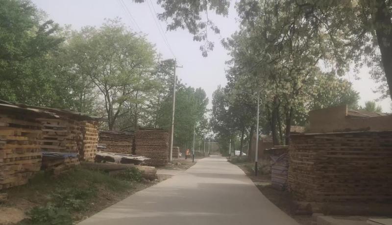 新民街村路燈1