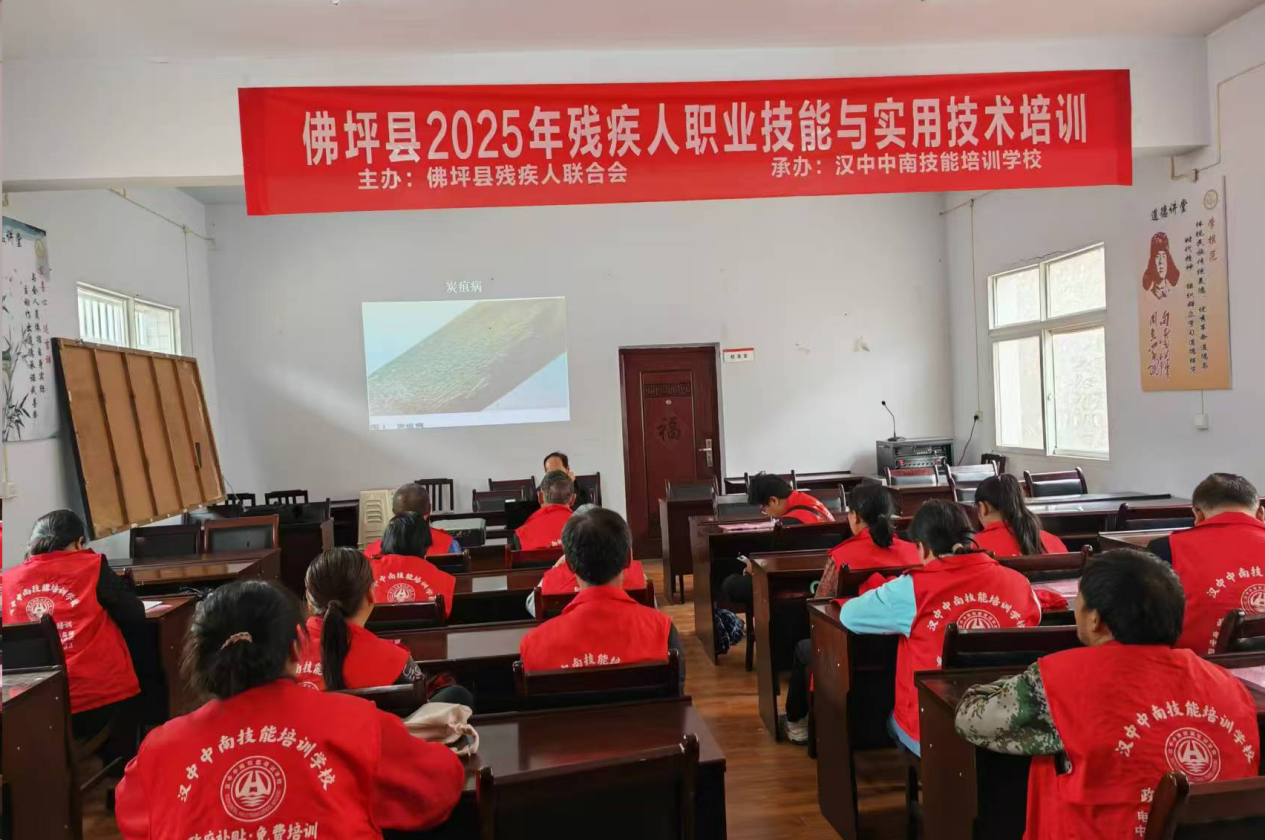 微信图片_20250528172724