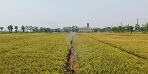 IMG_256