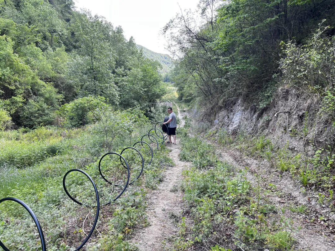 IMG_257