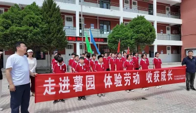 简篇-走进薯园，体验劳动，收获成长——子长市栾家坪初级中学赴子长市马铃薯现代农业示范园劳动实践活动​