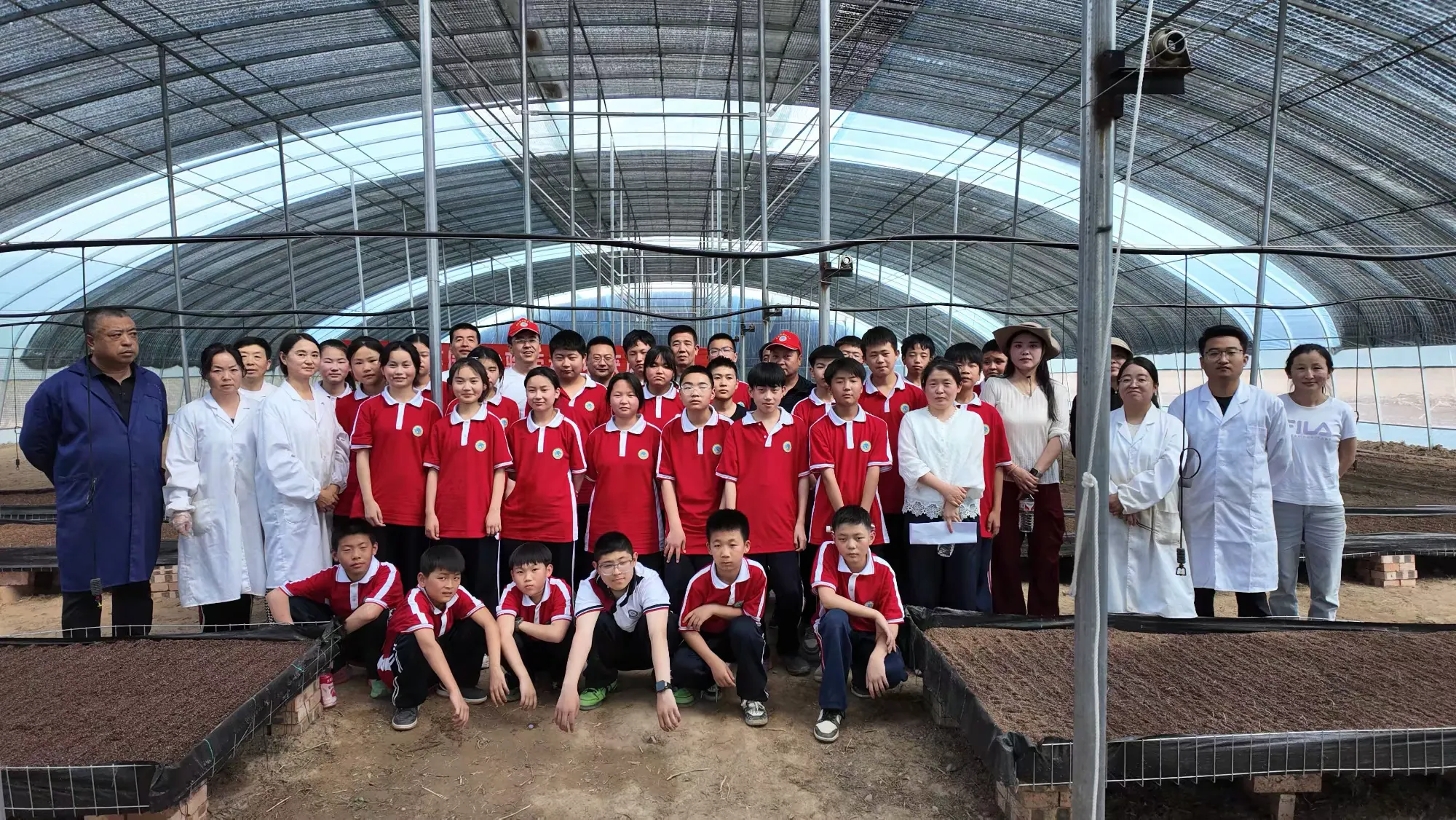 简篇-走进薯园，体验劳动，收获成长——子长市栾家坪初级中学赴子长市马铃薯现代农业示范园劳动实践活动​