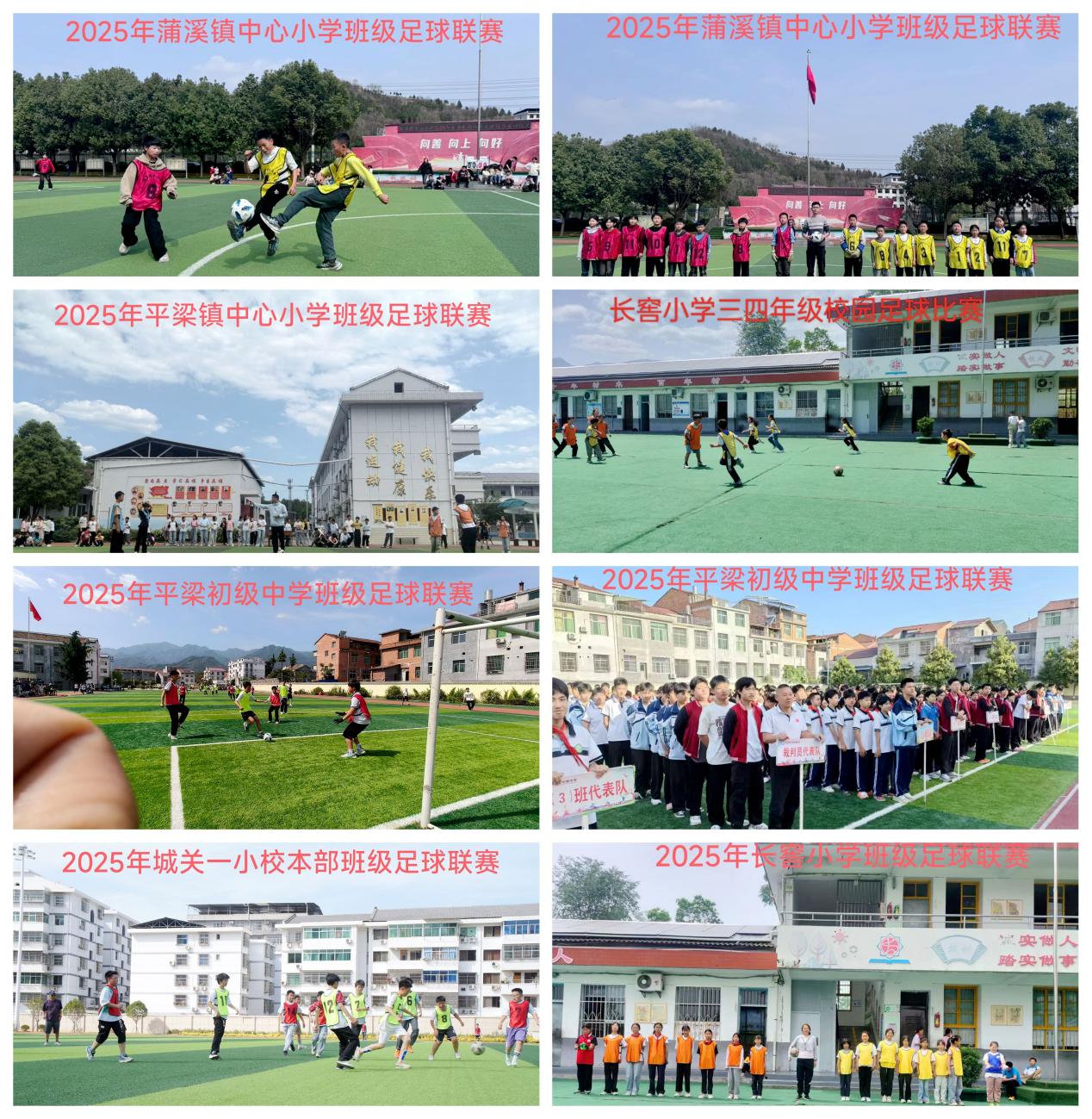 合照