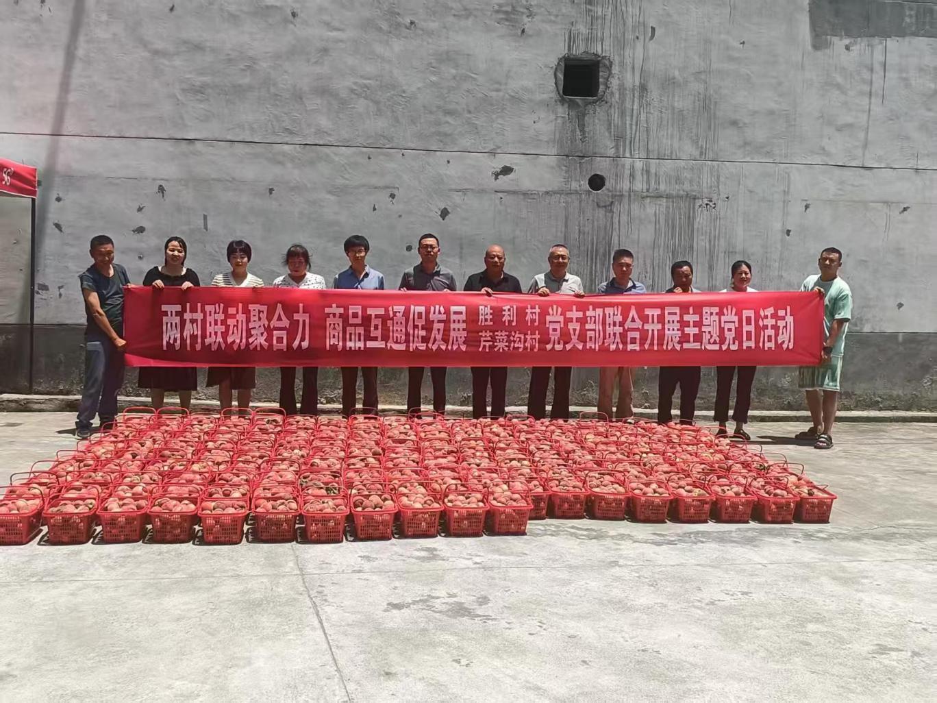 微信图片_20250613164049