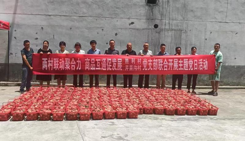 微信图片_20250613164049