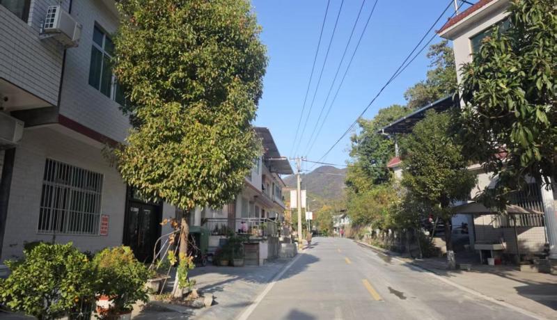 干净整洁的集镇街道