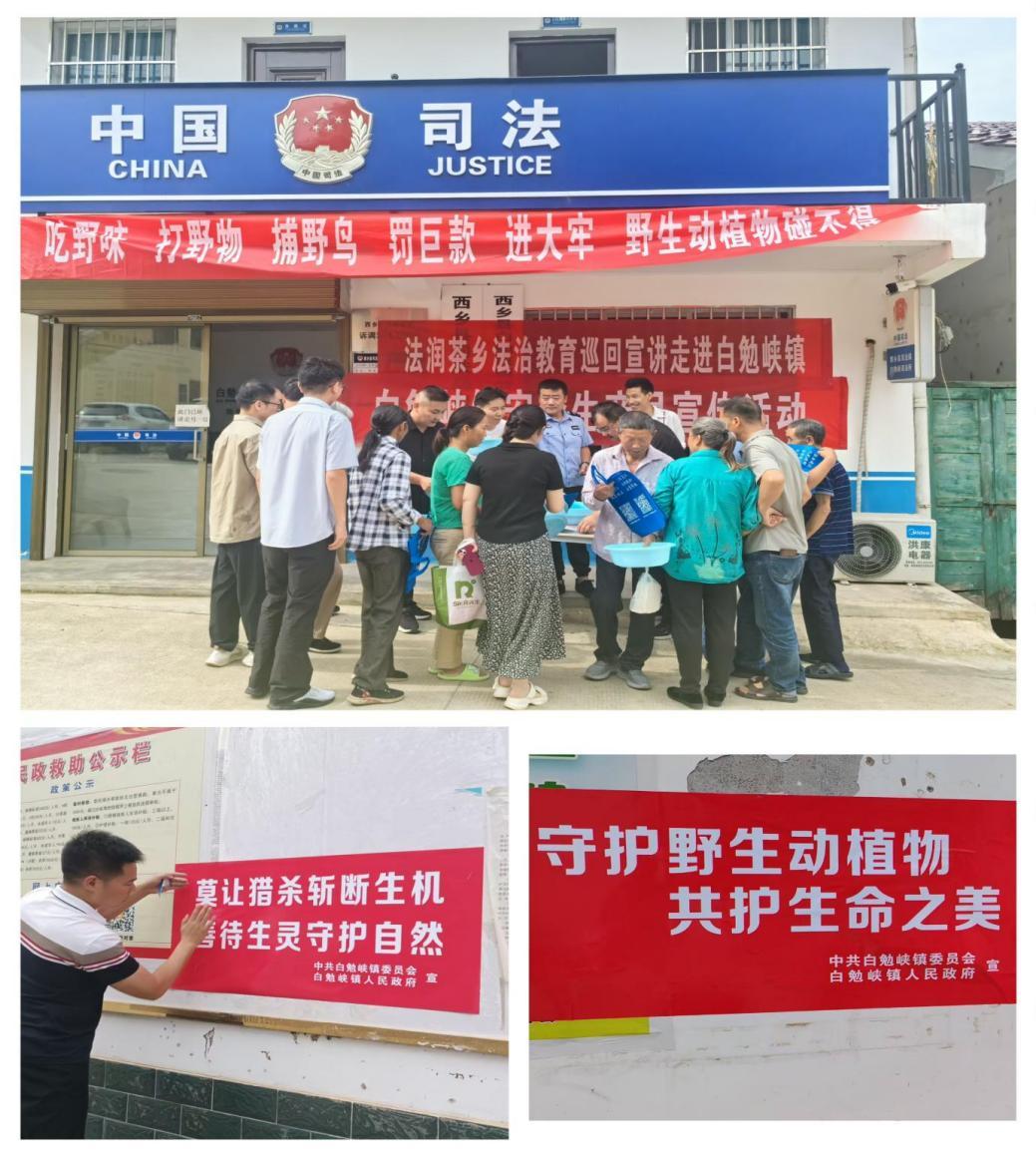 微信图片_20250627093125