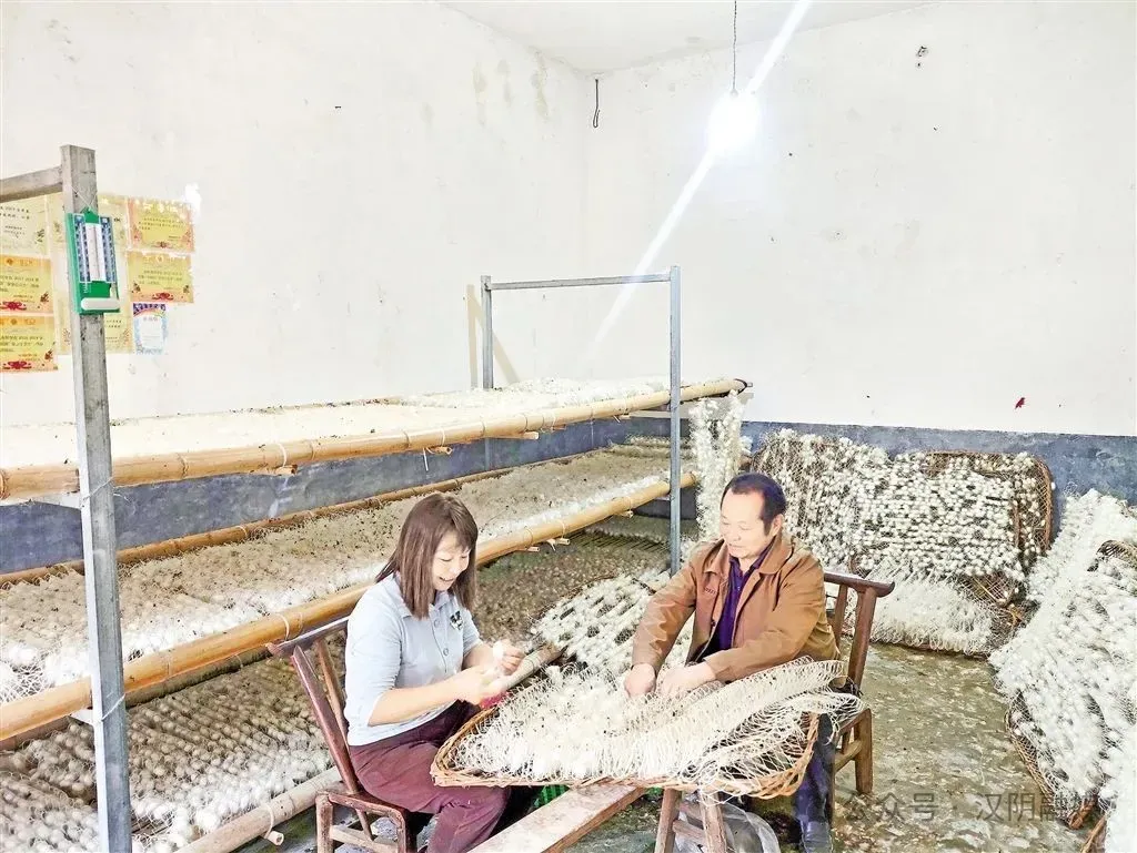 点击放大查看