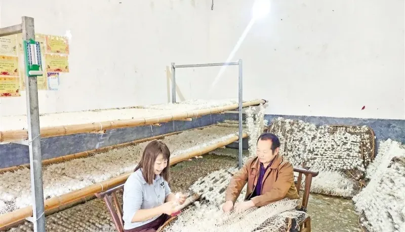 点击放大查看
