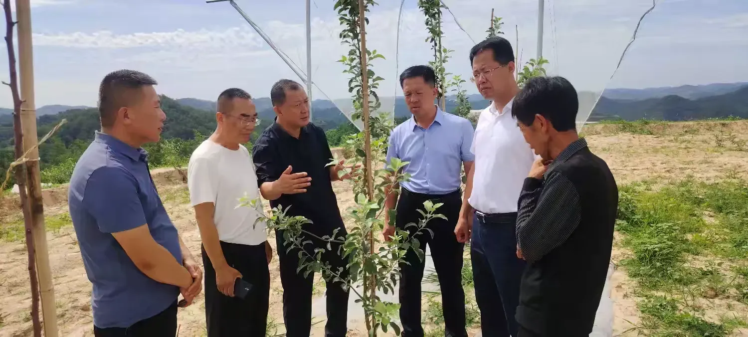 简篇-区果业局局长郭齐胜检查指导川口镇果树产业发展 镇长高永飞陪同 检查