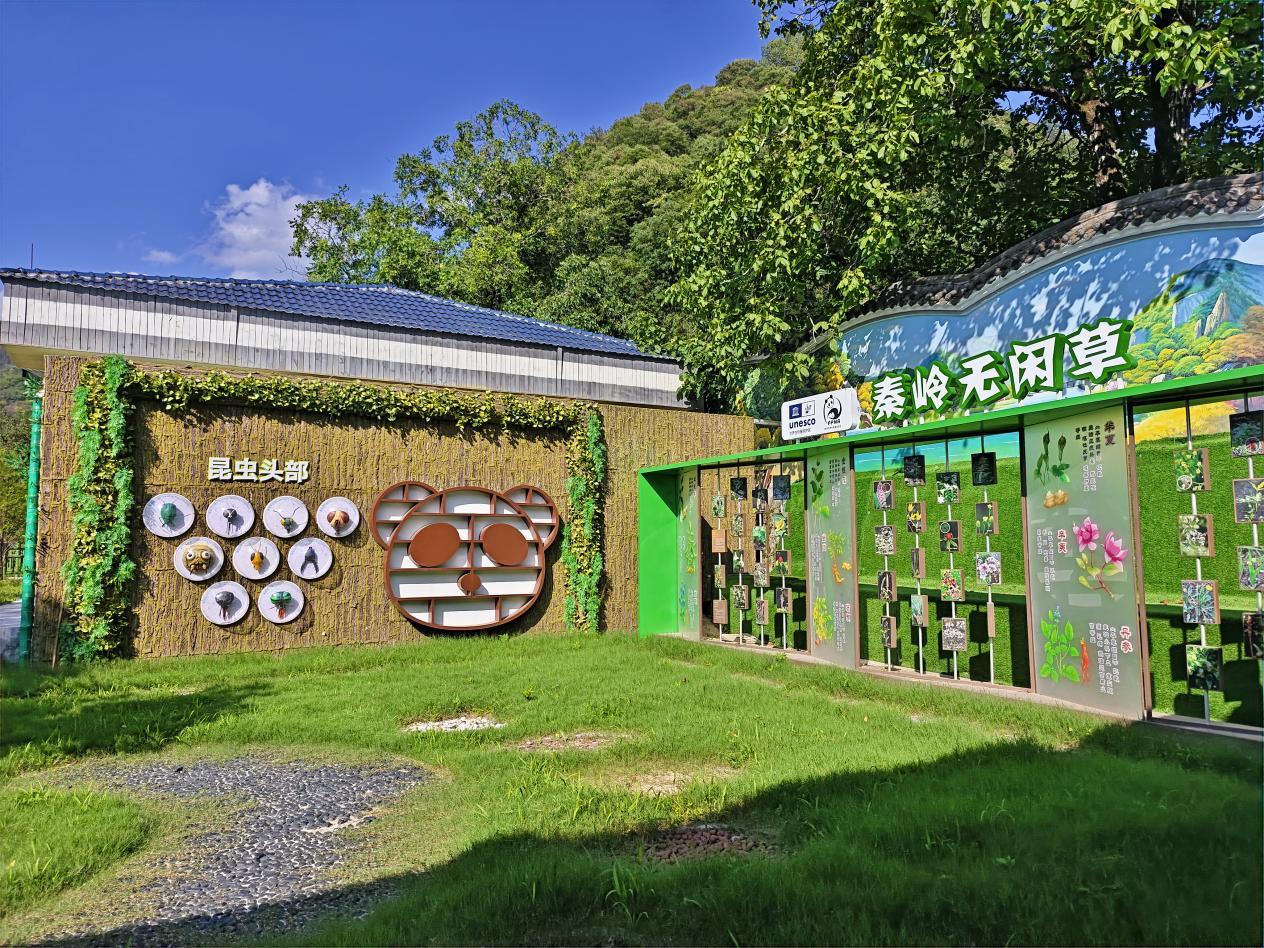 3.秦岭无闲草科普基地