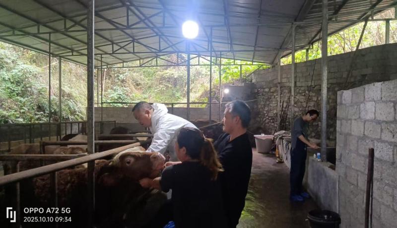 5d30e9057213dad604c57af12fddc3d