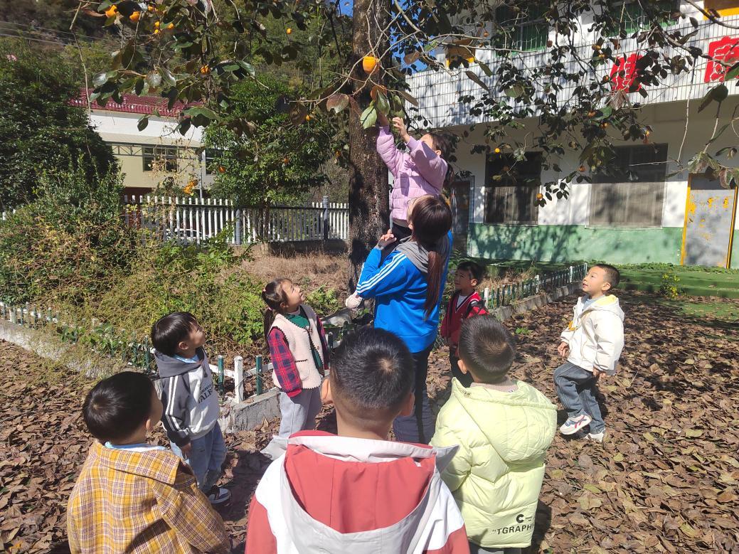 1068644026fd5ed2b8ff48a4103fd5d