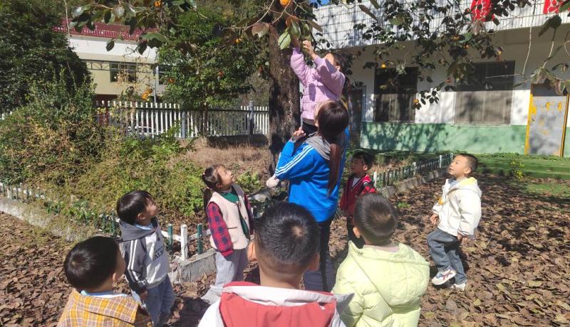 1068644026fd5ed2b8ff48a4103fd5d