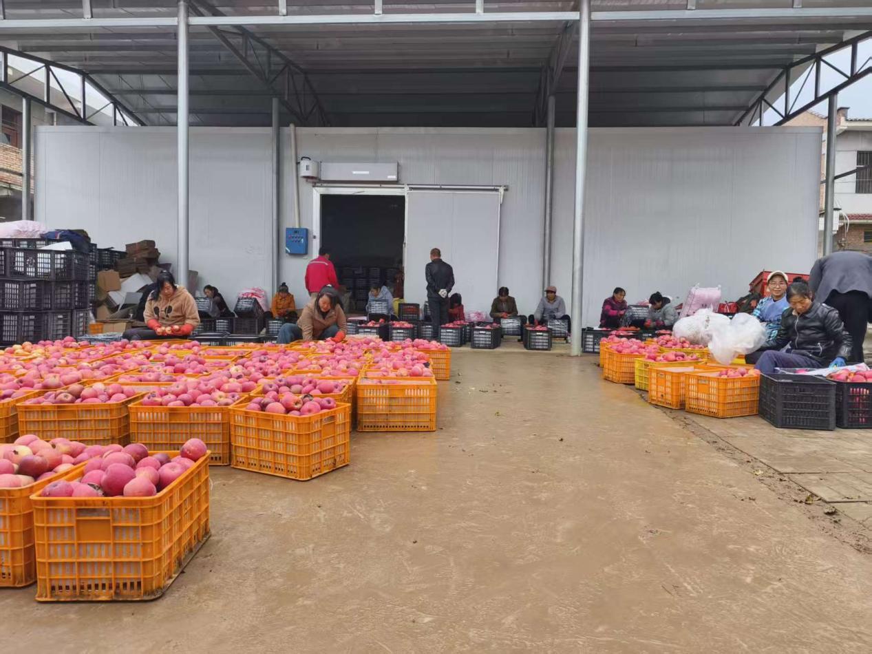 84c1d467ade410ce9cfea76bf952203