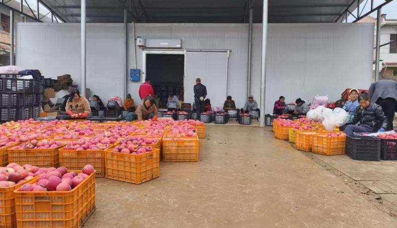 84c1d467ade410ce9cfea76bf952203